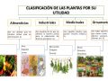 ¿Qué utilidades y usos tiene el reino vegetal?