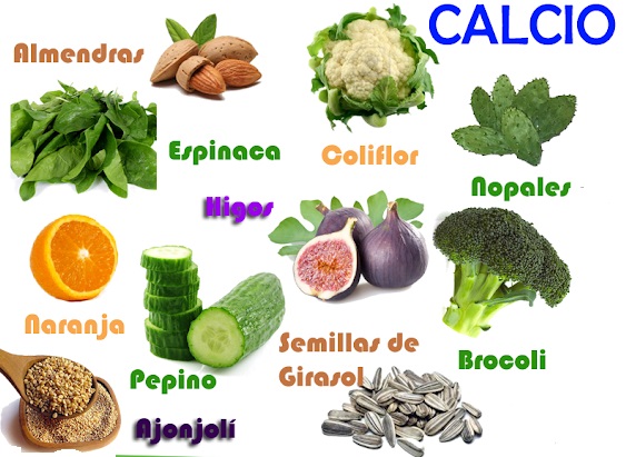 Alimentos vegetales ricos en calcio