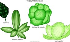 Vegetales de hojas verdes